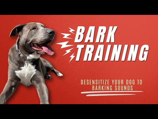 Dog Bark Training | Bark Reactivity | Bark Desensitization Sounds