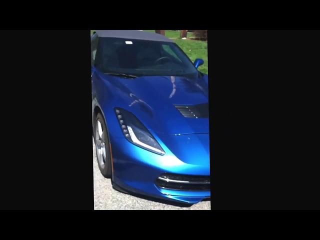 Corvette Stingray Meets Eco-Friendly Innovation: Seth Leitman, Green Living Guy Takes for Joyride!