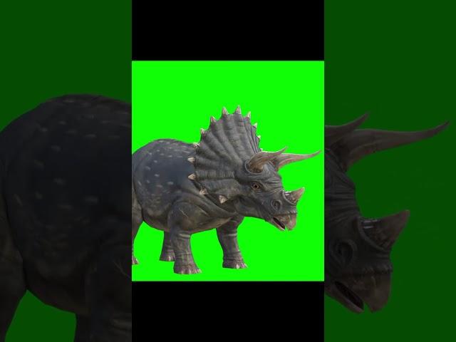 Triceratops#SHORTS##shortsvideo #dinosaurs##Horned##SHORTS##