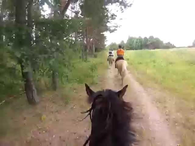 Epic full long gallop @ Estonia w. Ringi HD Quality (GoPro Hero3)