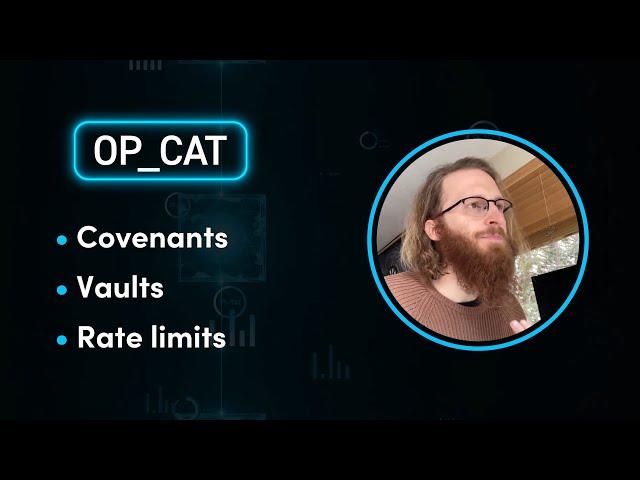 What Is the OP_CAT Proposal?