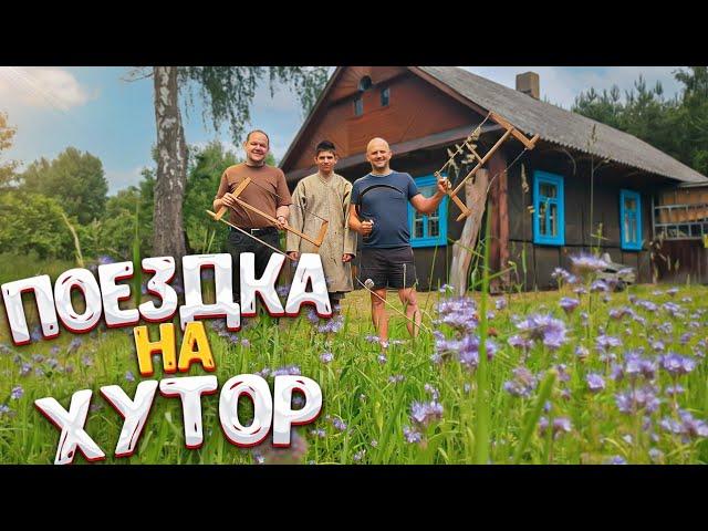 Поездка на старинный хутор в глуши . Столько лисичек в этом году ещё не было !