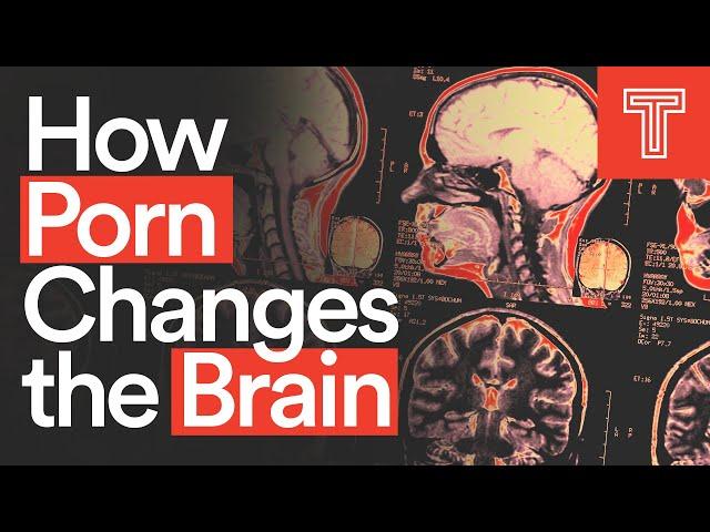 How Porn Changes the Brain || Neuro-Experts Explain