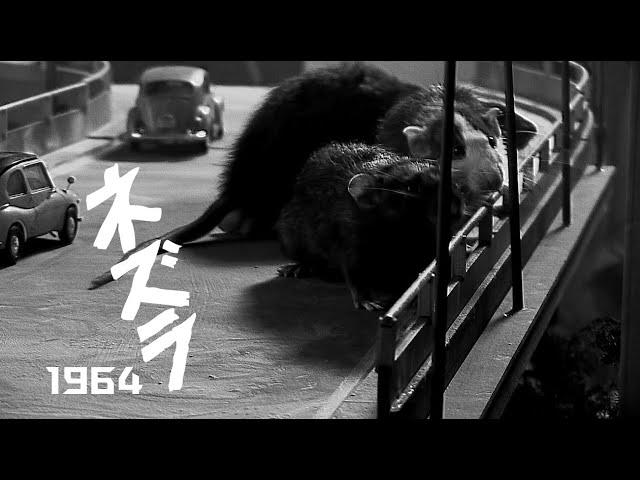 ガメラの原点！映画『ネズラ1964』予告編 Nezura 1964