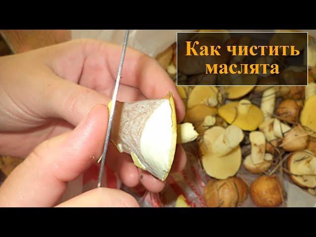 Как чистить маслята