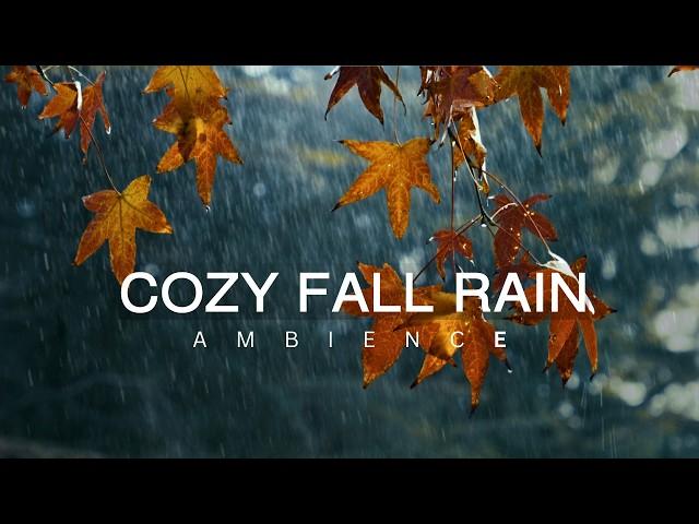 10 Hour   Cozy Autumn Rain Ambience | Fall Leaves  | Sounds for Relaxation | Meditation | Sleep