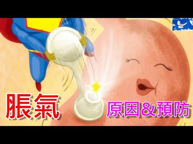 肚子內怎麼會有氣體? 淺談脹氣的發生及預防 | 三分鐘聊醫學EP15