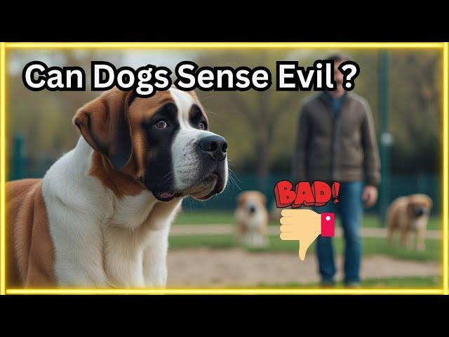 Can Dogs Tell If You're a Good Person? Find Out What They Really Sense!