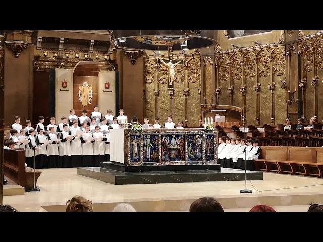 Boy's Choir, Montserrat Monastery