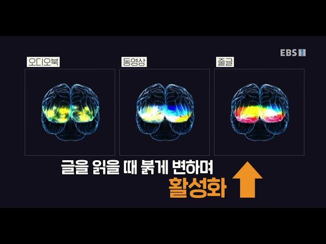 EBS '당신의 문해력' - 글 VS 오디오 VS 동영상 : 매체에 따라 우리 뇌는 어떻게 반응할까요? (OBELAB 오비이랩 NIRSIT LITE)