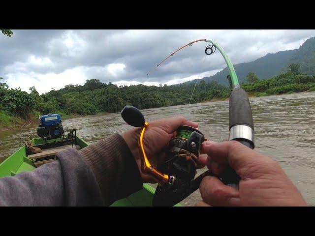 TARIKANNYA GANAS!! MANCING BAUNG DISINI LENGAH SEDIKIT PANCING MELAYANG