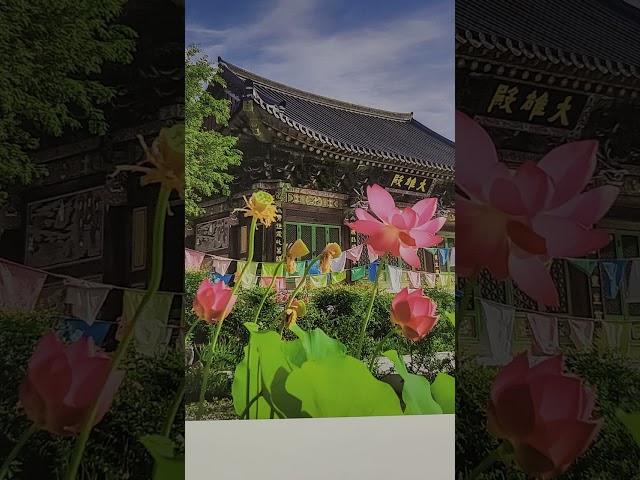 #법구경#1분명상#진리#마음#신념#목적#지혜#축복