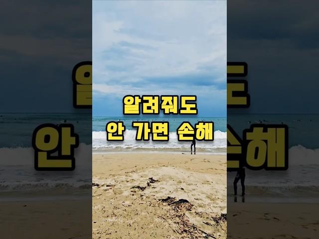  양양 물치 해수욕장, 서핑 & 차박의 모든 것! Yangyang Mulchi Beach: All about surfing & car camping!