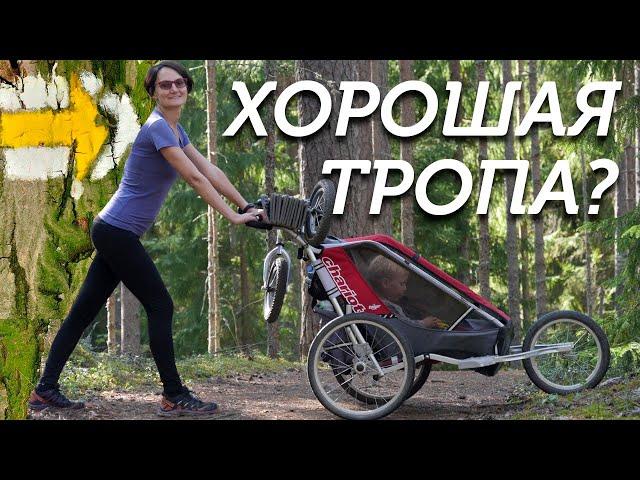 Гряда Вярямянселька, стоит ехать? #экотропа #кудапоехать