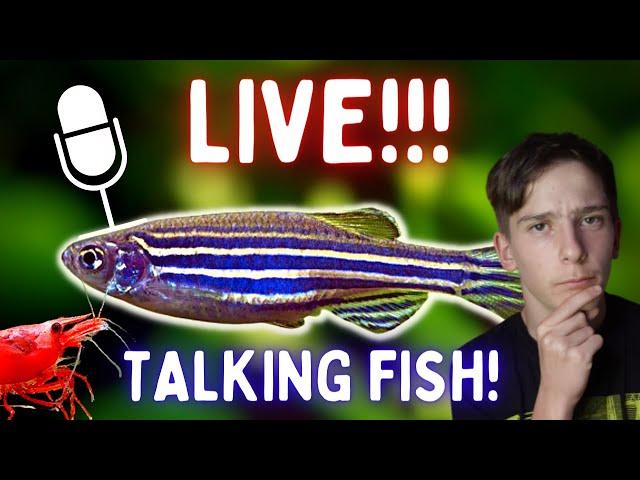 Lazarus the fish boy Live: Q n A & Hanging Out Talking Fish!