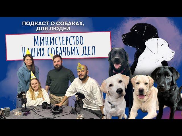 День рождения «Министерства наших собачьих дел»