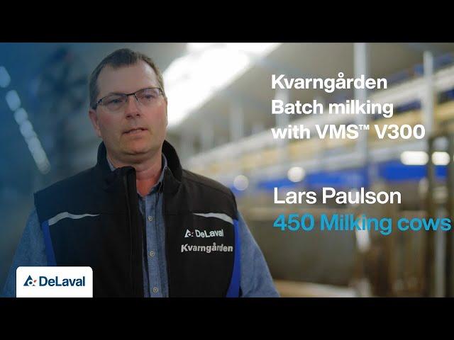 Batchmjölkning med DeLaval VMS V300 på Kvarngården i Halland, Sverige