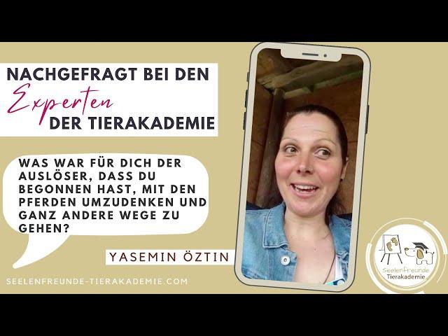 Umdenken mit Pferd: Wie Yasemin ihren "anderen" Weg mit Pferden fand und umsetzte