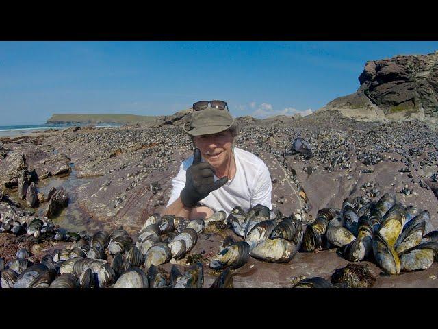 How to forage and cook Moules Mariniere