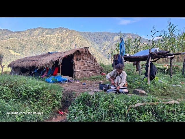 This is Himalayan Very Peaceful Hari Rokaya Family Lifestyle | Organic Food Cooking in Countryside