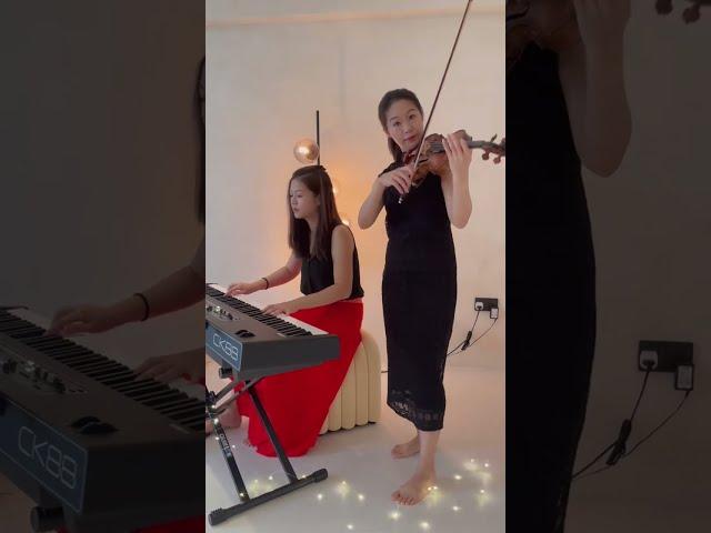 Howl's Moving Castle - Merry go round of Life cover by Je Duo Music