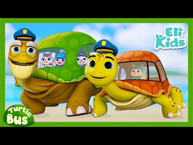 Turtle Bus #3: "Baby Turtle" | Animal Vehicles | Educational Eli Kids Songs & Nursery Rhymes