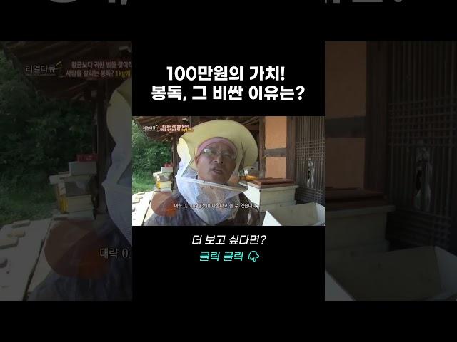 100만원의 가치! 봉독, 그 비싼 이유는? | 리얼다큐 숨