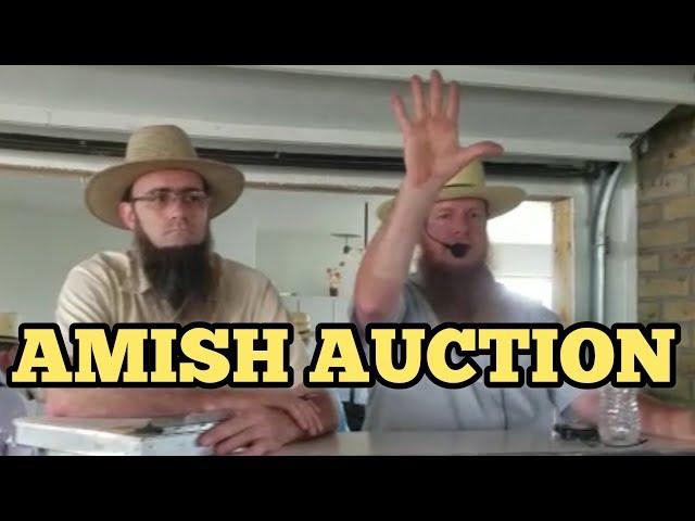 NEVER BEFORE SEEN AMISH AUCTION In Holmes County Ohio With Amish People / Amish Paradise OR Mafia?