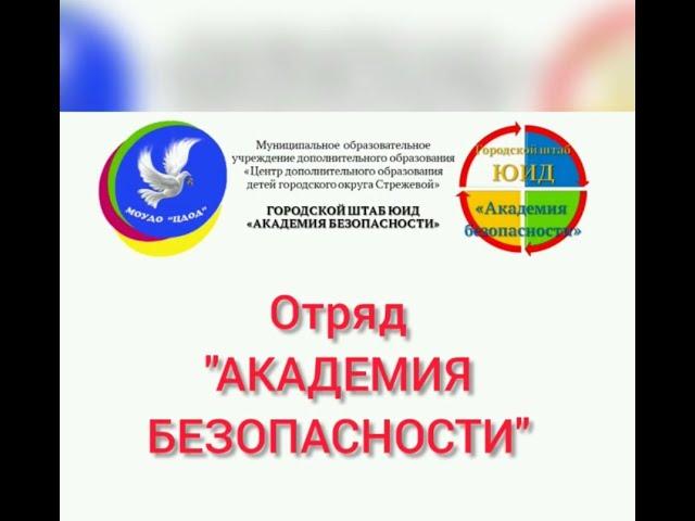 Отряд "Академия безопасности" ЦДОД