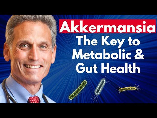 Akkermansia: The Key to Metabolic & Gut Health | Adam Perlman Clips