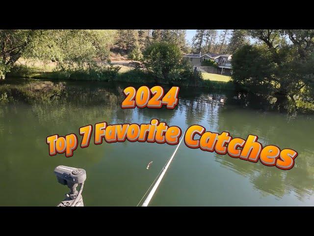 Top 7 Catches Of 2024