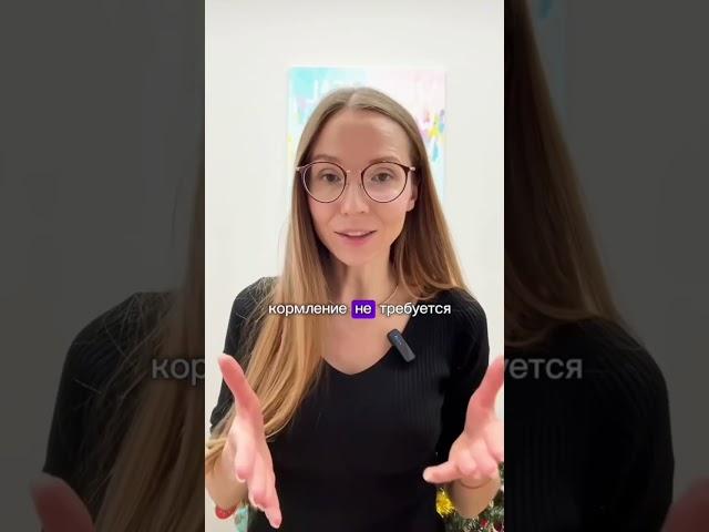 НОРМЫ НОЧНЫХ КОРМЛЕНИЙ НА ГВ:0-3 месяцев - каждые 3-4 часа, 4-6 месяцев-2 раза, 7-8 месяцев - 1 раз