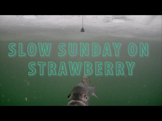 Slow Sunday on Strawberry