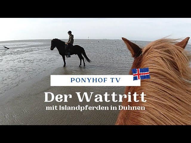 Der Wattritt - mit Islandpferden in Duhnen - Ponyhof TV geht ausreiten!