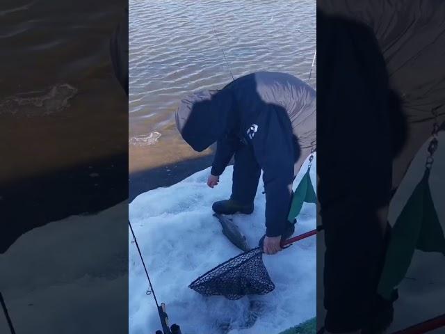 УЛОВЫ! РЫБАЛКА ПО ОТКРЫТОЙ ВОДЕ! 