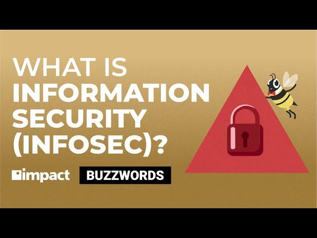 What Is Information Security (InfoSec)? | Buzzwords