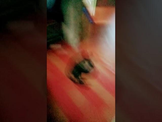 hdhfh