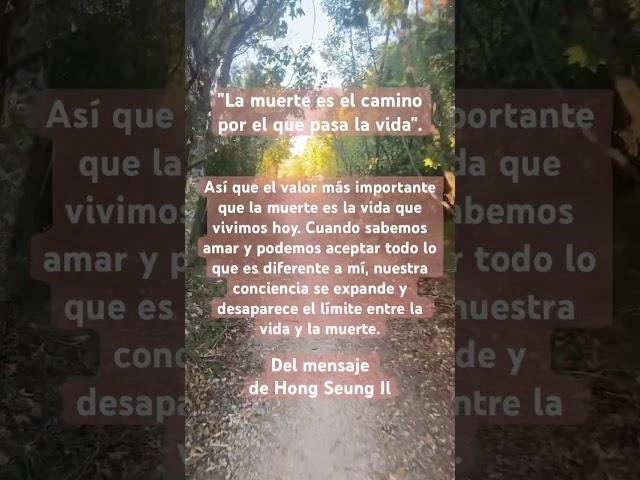 La muerte es el camino por el que pasa la vida#santiagodecompostella#spain#caminohola