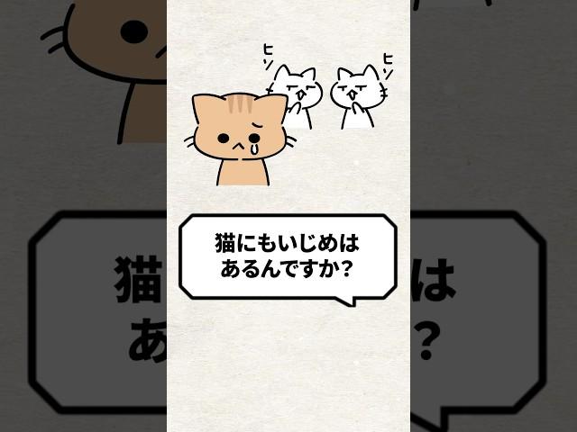 Q: Are cats bullied? #cats #livingwithcats #rescuedcats #cat