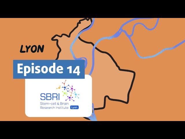 A "Neurotour de France" - Ep. 14: Stem-cell and Brain Research Institute