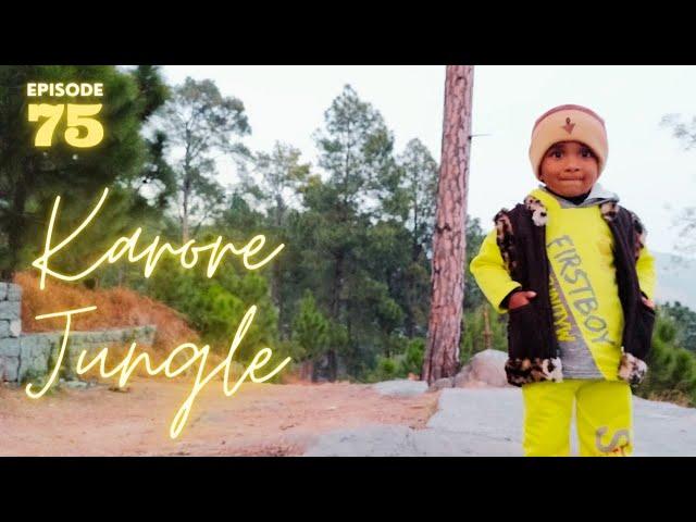 Karore | کرور جنگل ہوٹل | Unseen Valley of Karore | Pine Forest Murree | Episode No 75 | FIA Vlogs