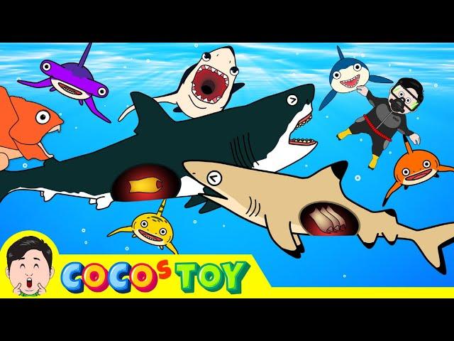 60minㅣCoCosToy's  well-made stories best collection 2ㅣwhales & sharks for kidsㅣCoCosToy