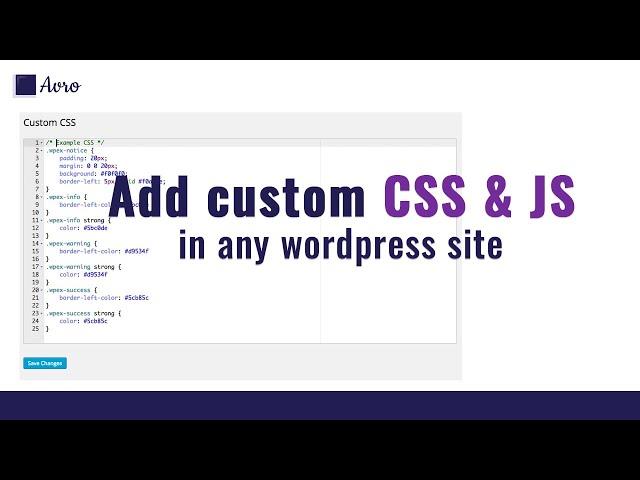 Add custom CSS and JS to any wordpress site