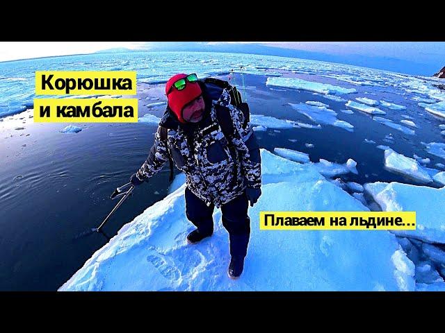 Один день корюшка, второй день камбала! Плаваем на льдине // (Eng Subs)