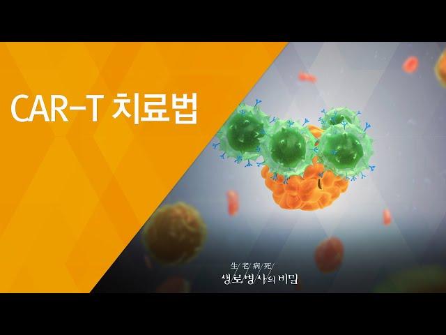 CAR-T 치료법 - (20180808_658회 방송) 암과의 전쟁, 면역항암제의 도전