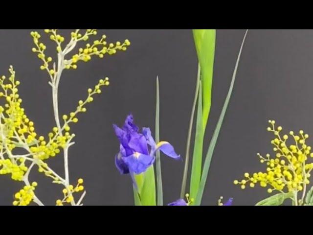 94  Iris Enchantment: Dutch Iris Floral Design Unveiling Nature's Elegance