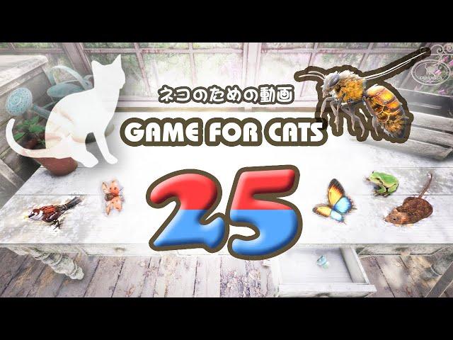 【猫用動画MIX25】ハチ・テントウムシなど ４時間 GAME FOR CATS 25