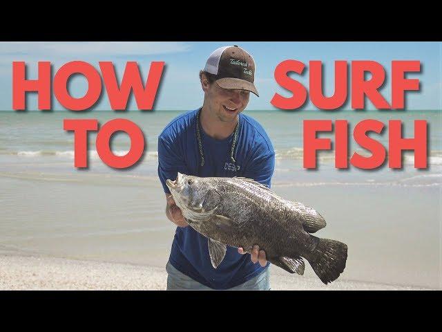 How to Surf Fish: Learn Surf Fishing for Beginners