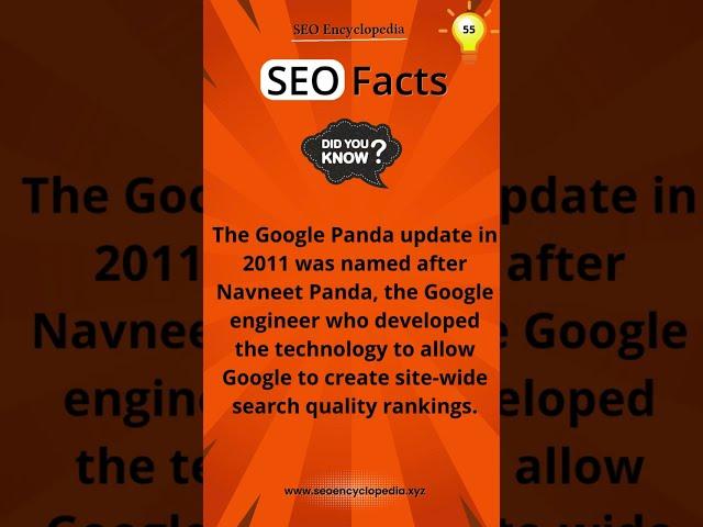  SEO Fact #55: The Google Panda update in 2011 was named after...