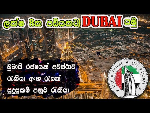 ලක්ෂ 8 ක පඩියකට ඩුබායි යමු | DUBAI JOB VISA | DUBAI | FREE WORK VISA | HOW TO APPLY